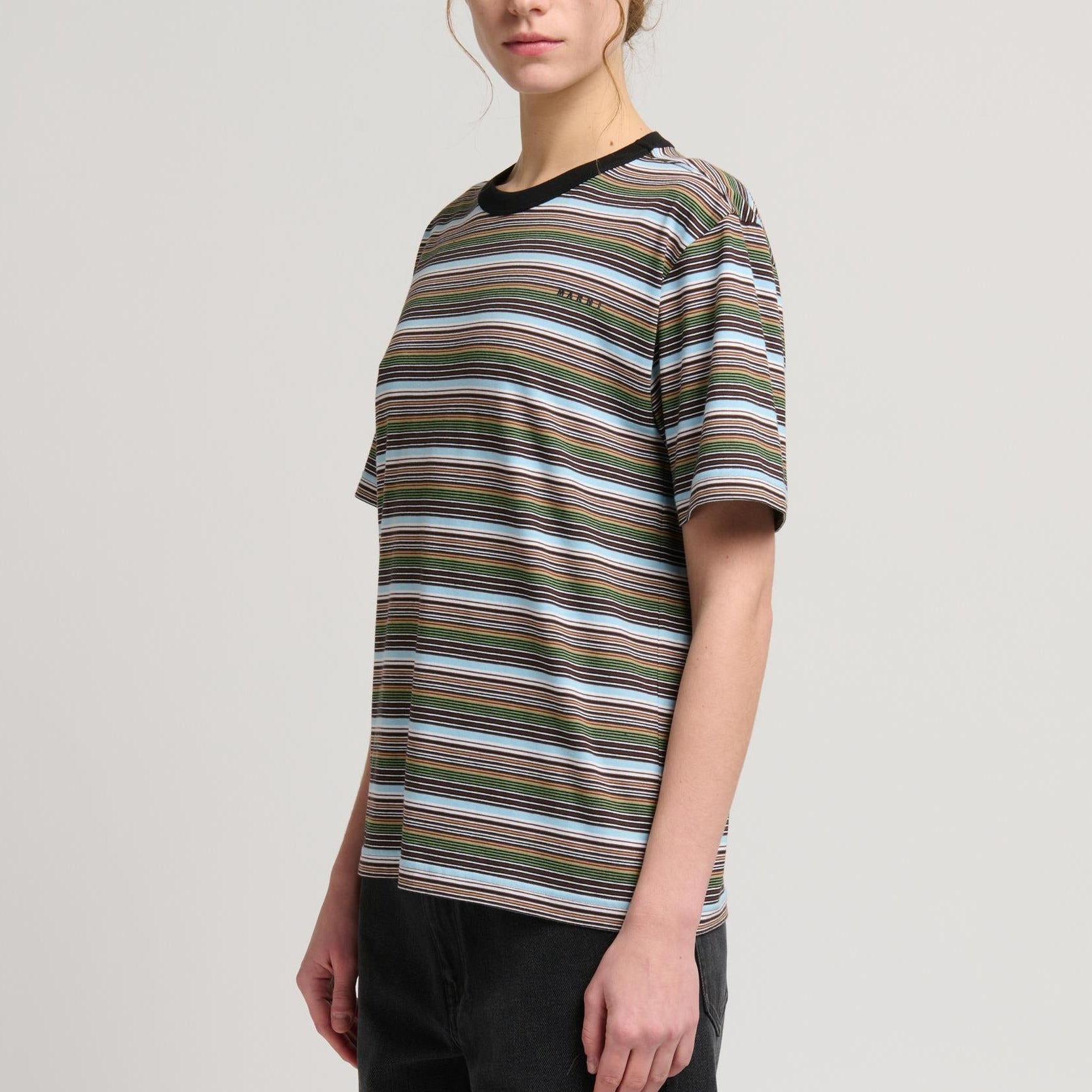 ストライプ Tシャツ