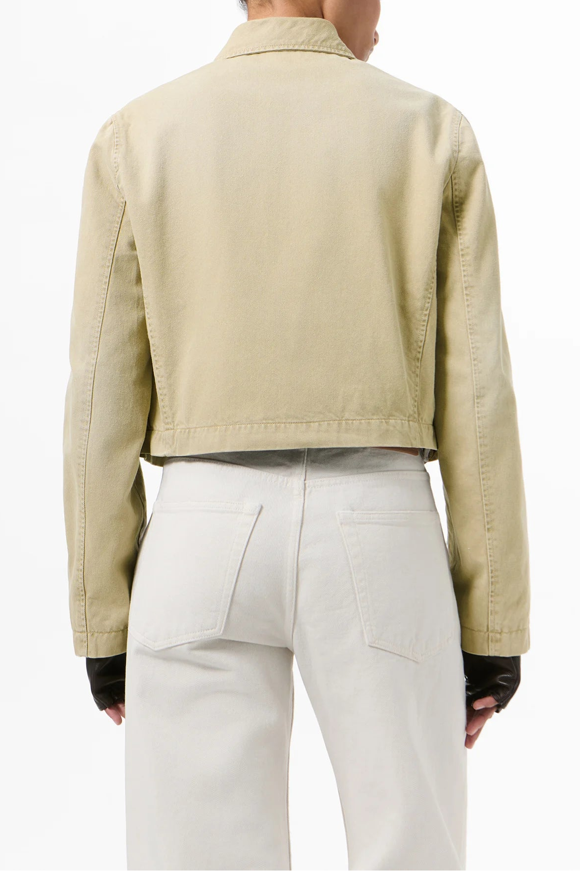 STATUE JACKET