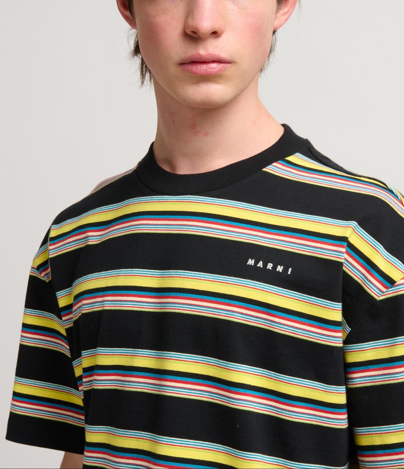 コットン ストライプ Tシャツ