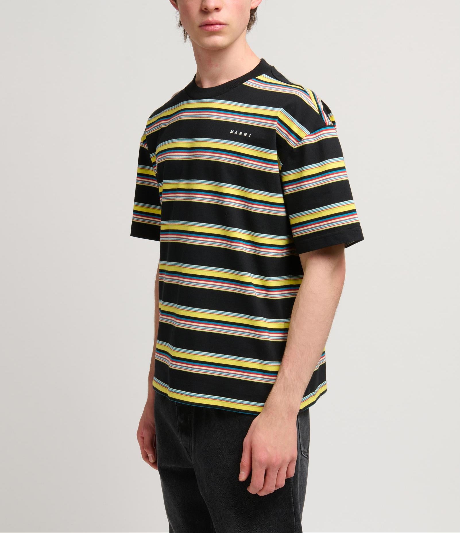 コットン ストライプ Tシャツ